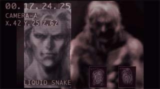 Briefing: Liquid Snake
